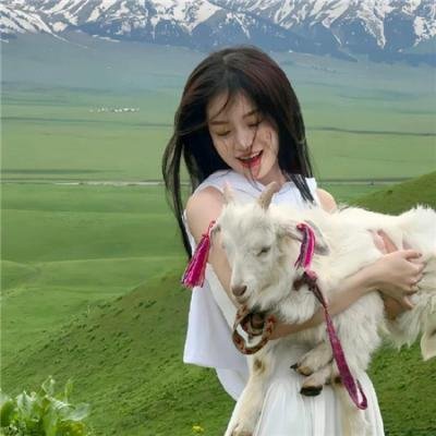 猫与爷爷